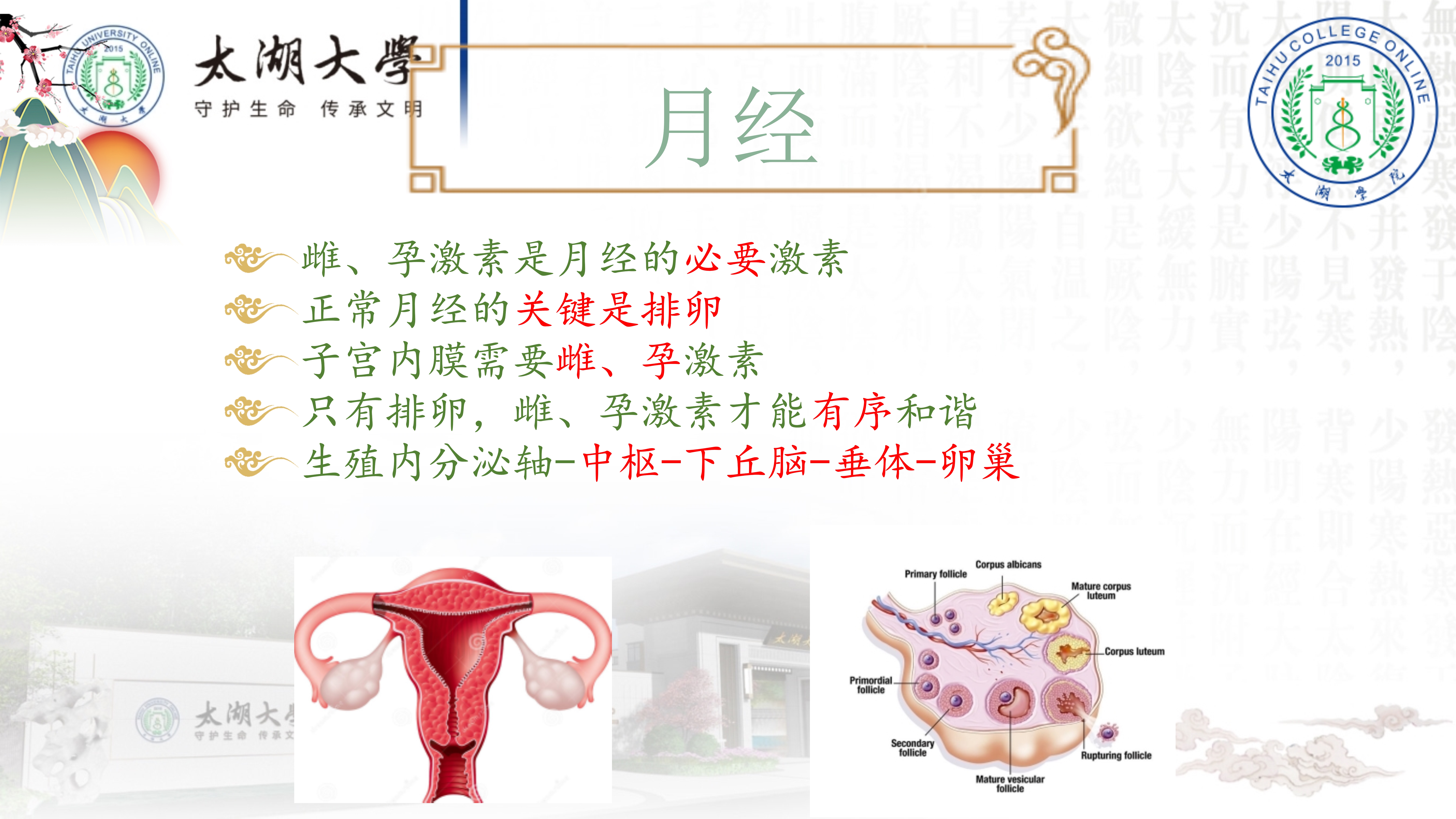 孙迎春讲座_14.jpg