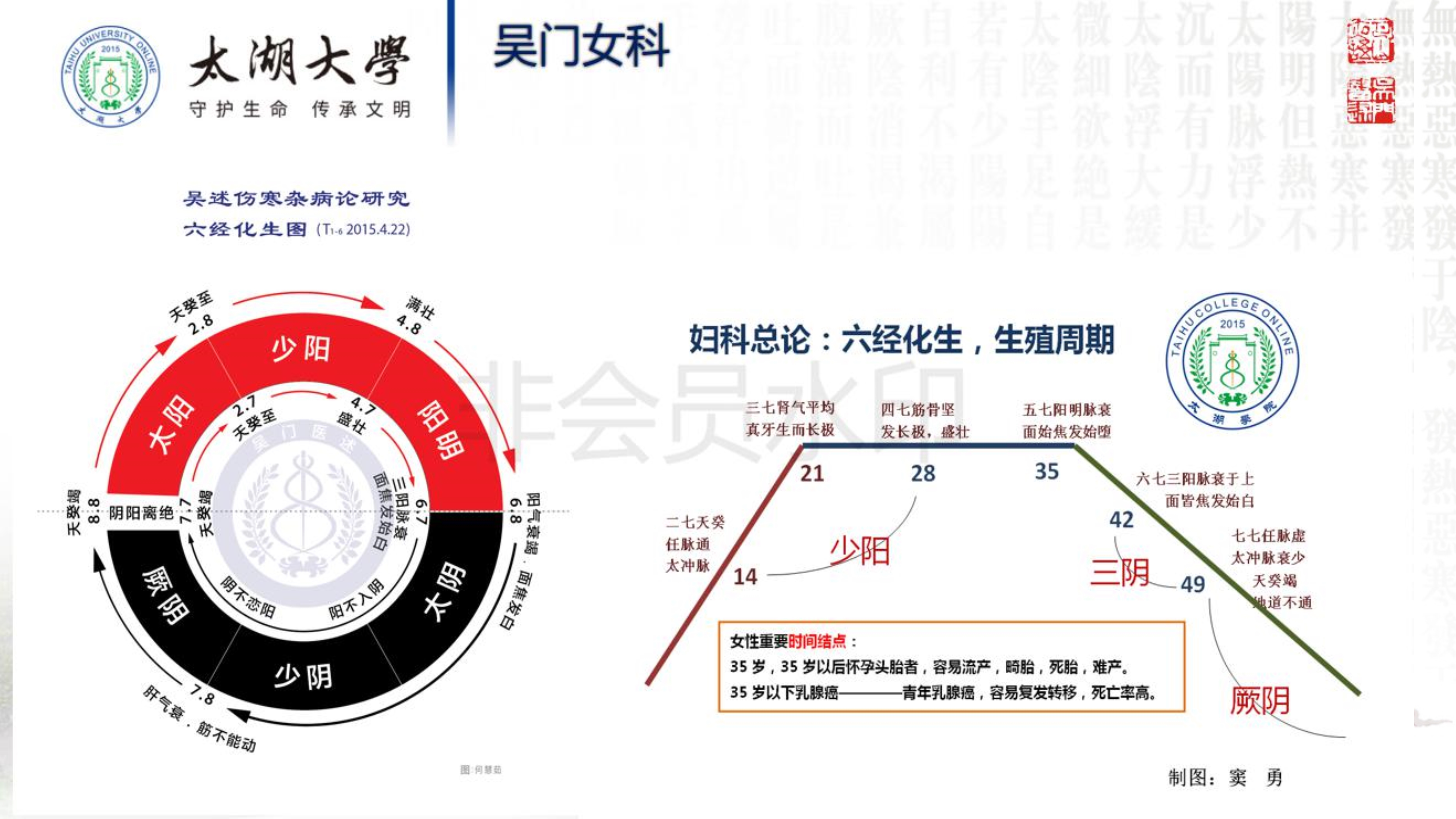 孙迎春讲座_8.jpg