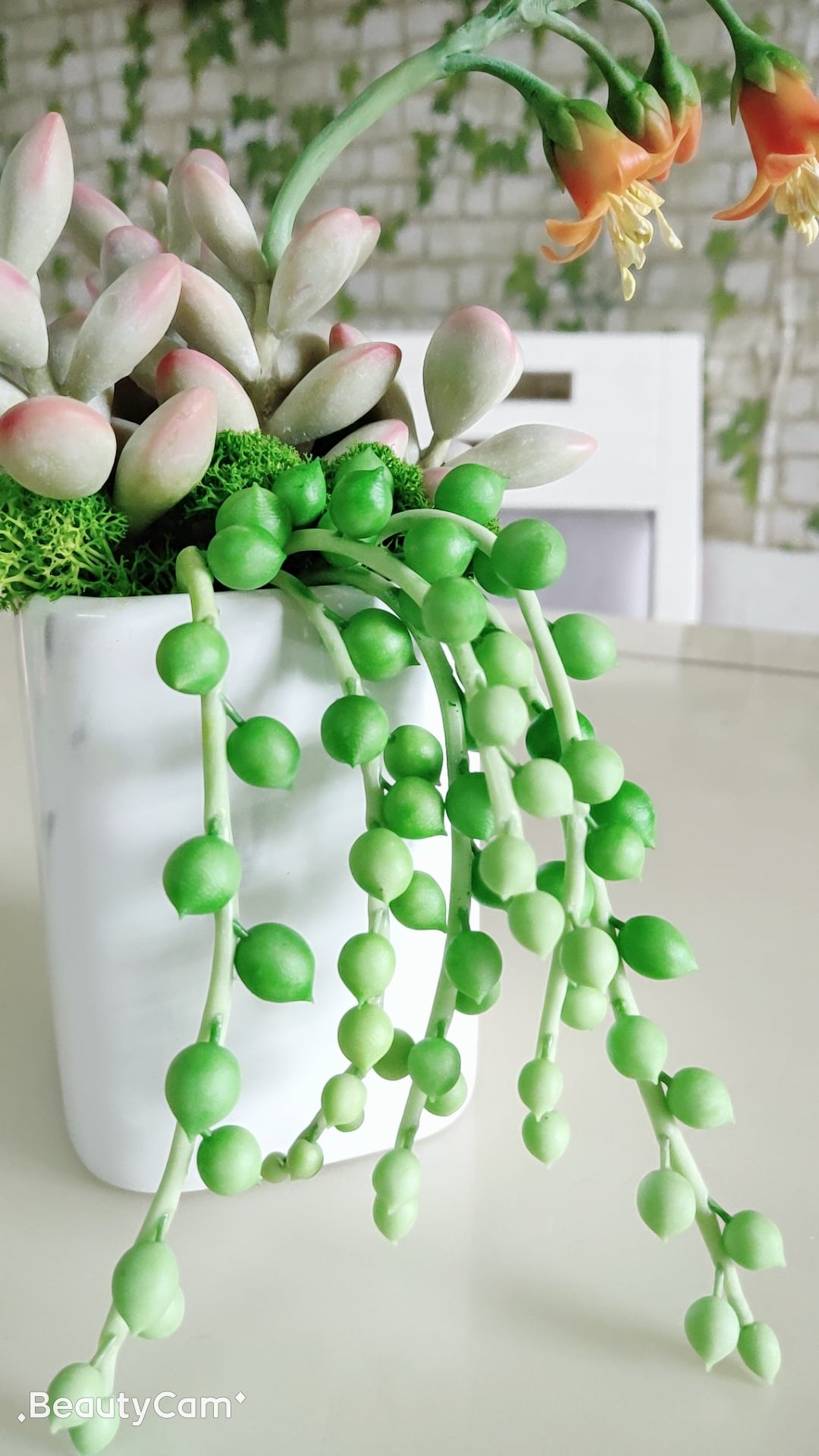 10分钟能学会的粘土多肉植物——佛珠