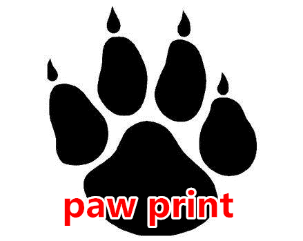 05 paw print.jpg