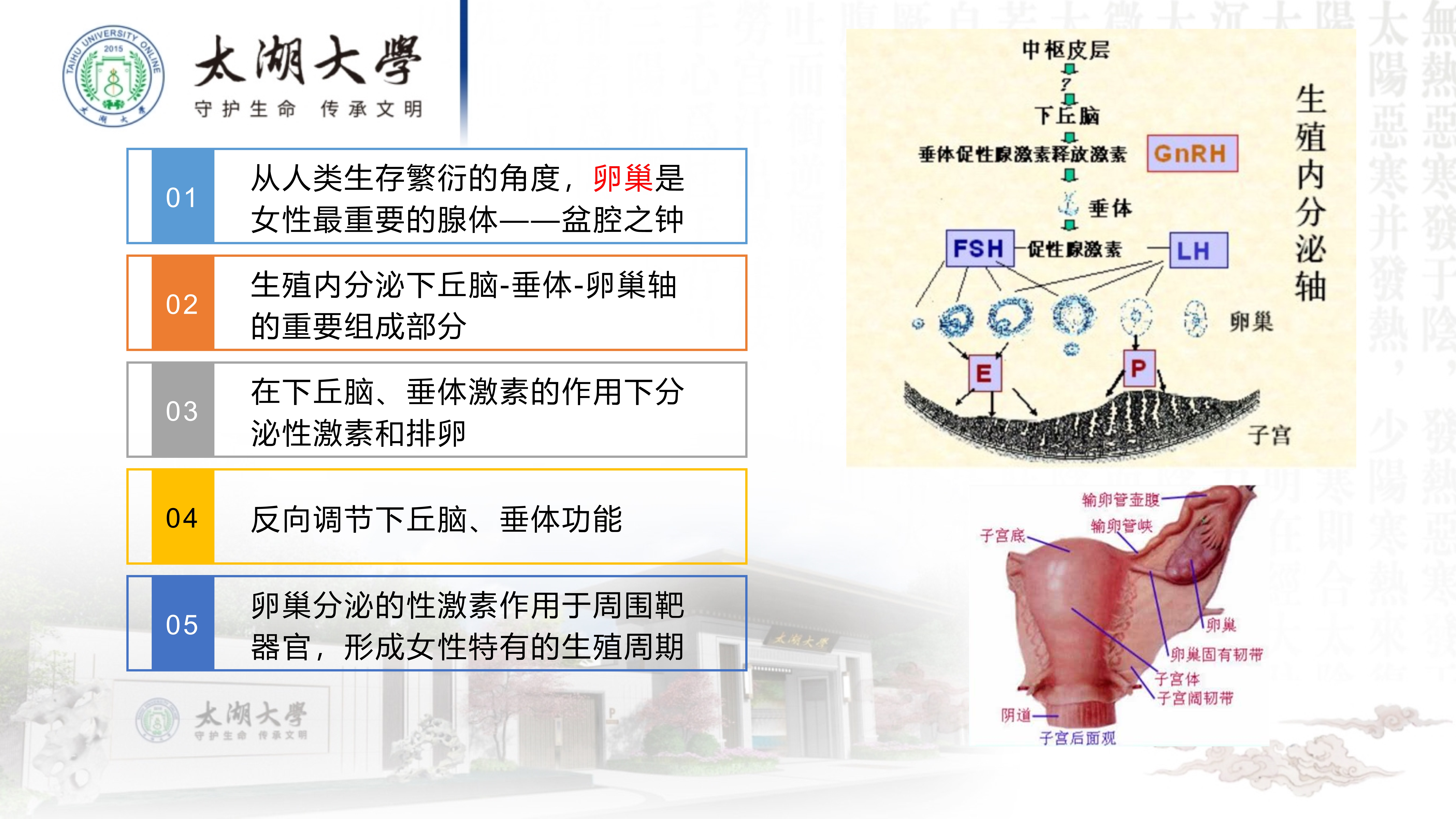 孙迎春讲座_15.jpg