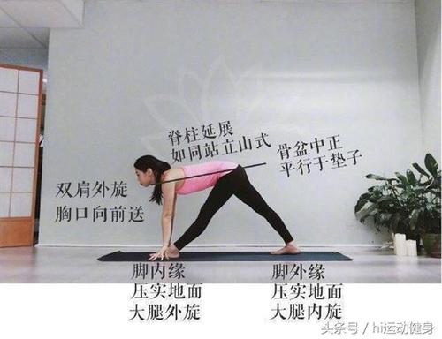 加强侧伸展2.jpg