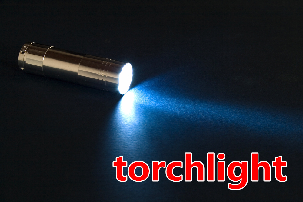 torchlight.jpg