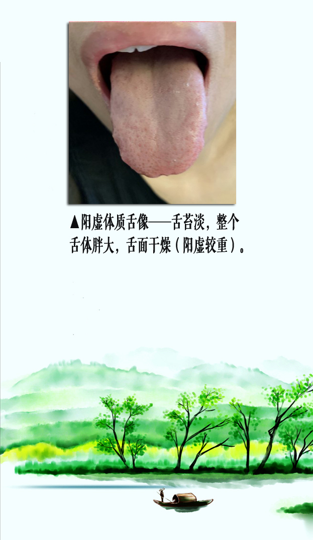 阳虚舌像2副本.jpg