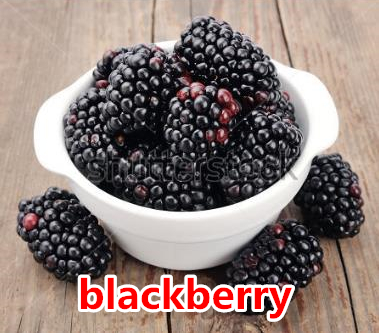 03 blackberry.jpg