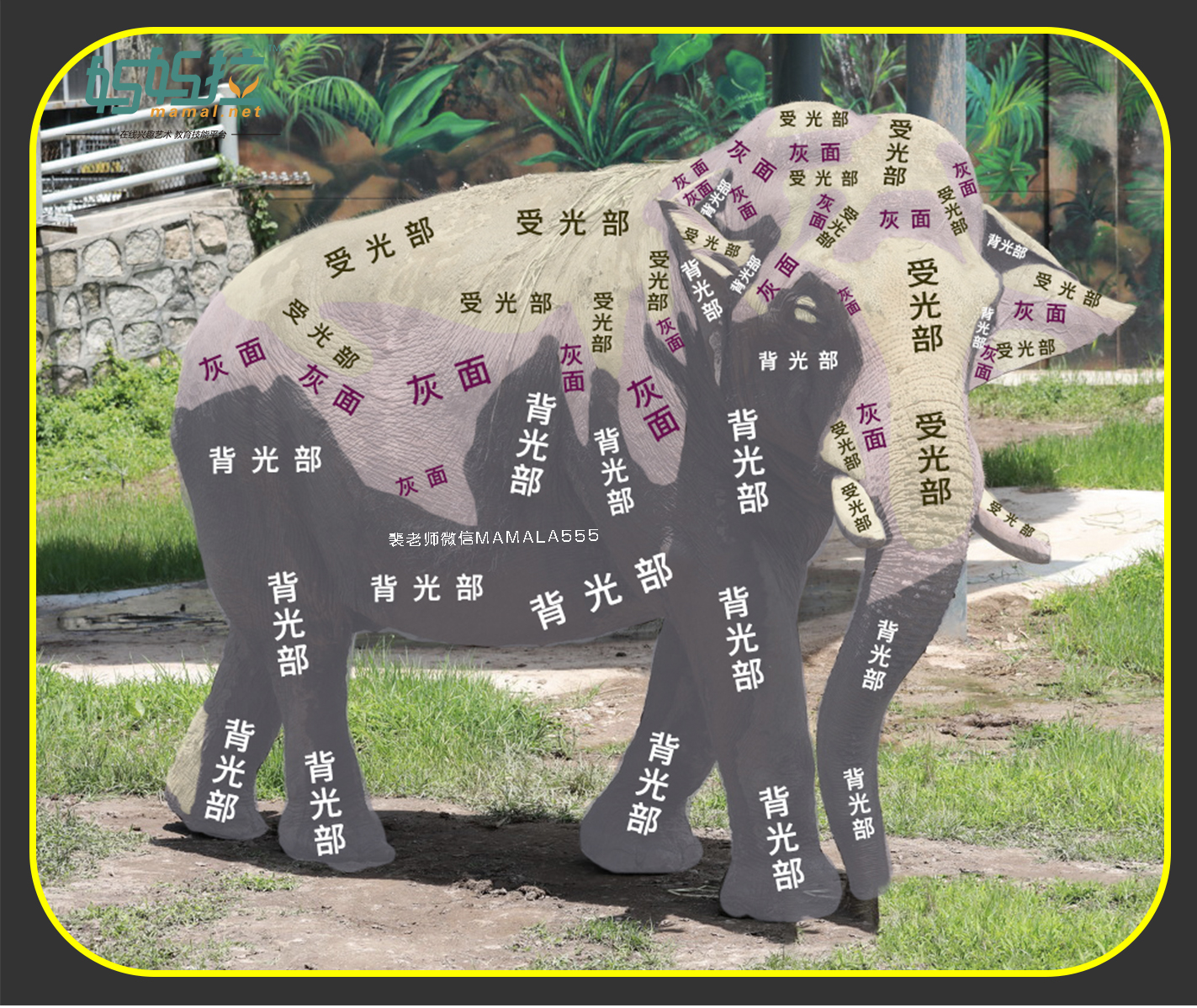 大象体块分析  logo 微信.jpg
