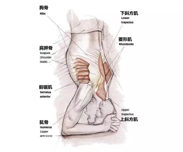 微信图片_20220108140254.jpg