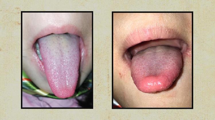 第33课《上翘舌》