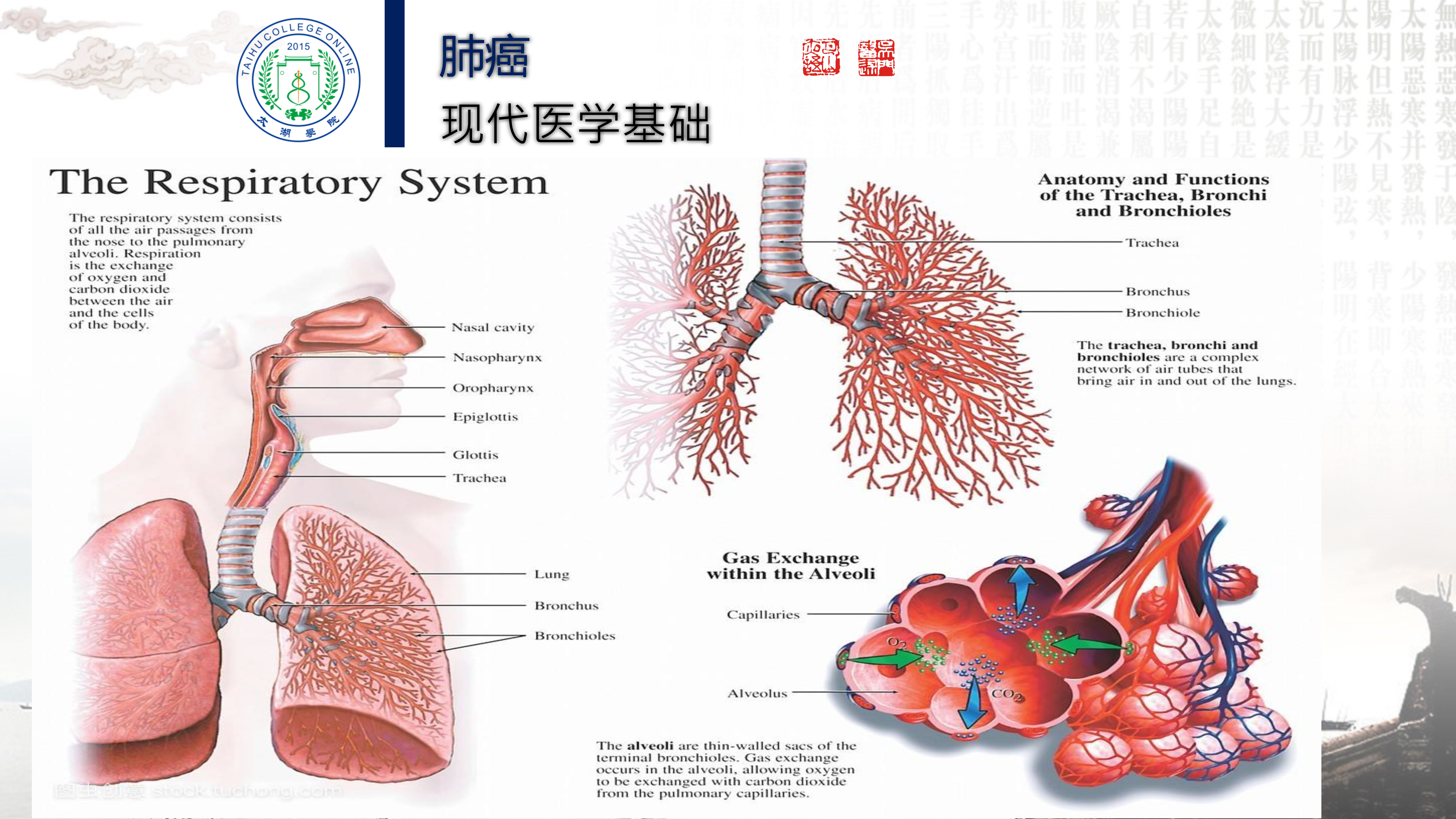 程培育讲座_9.jpg