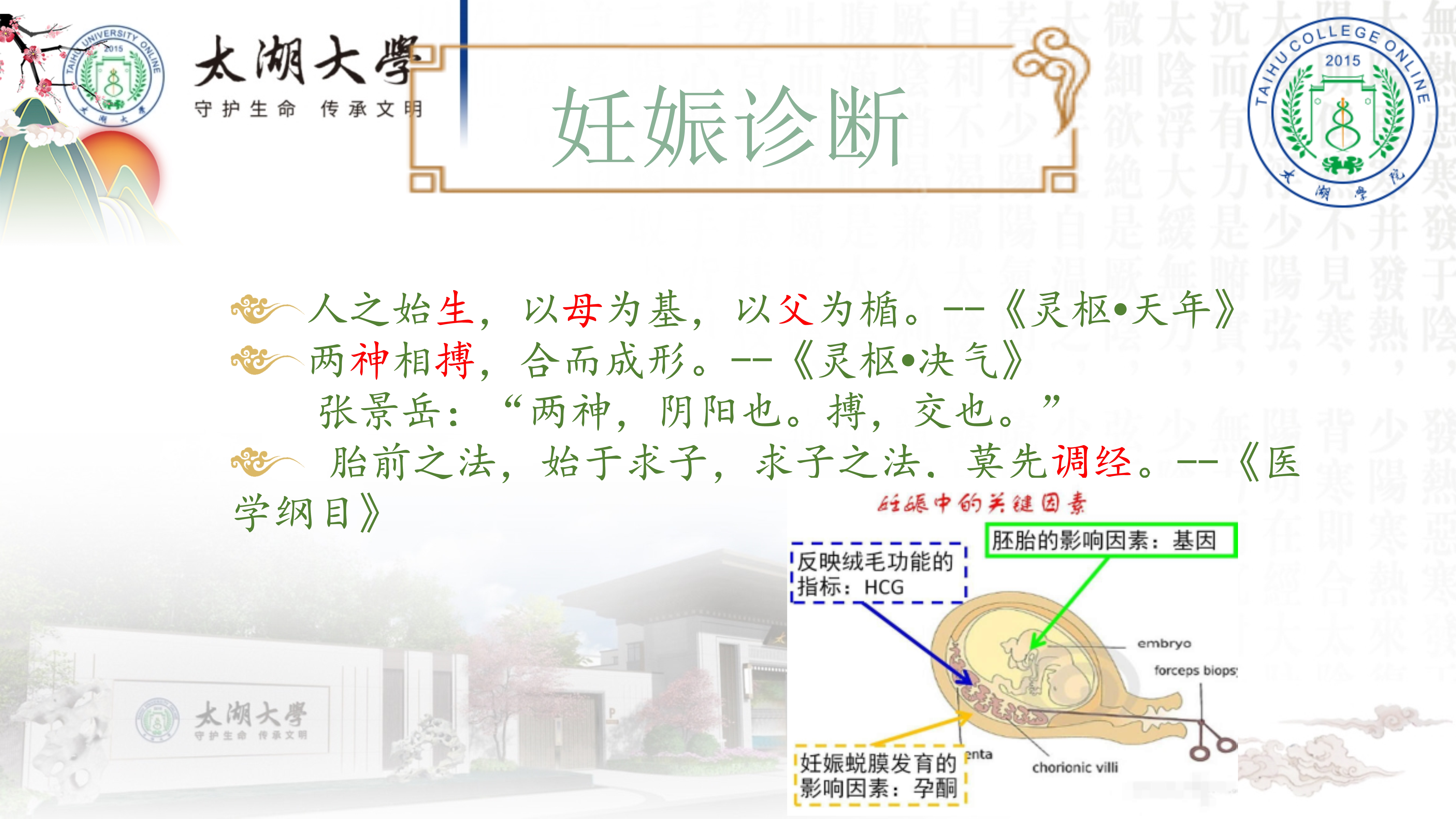 孙迎春讲座_4.jpg