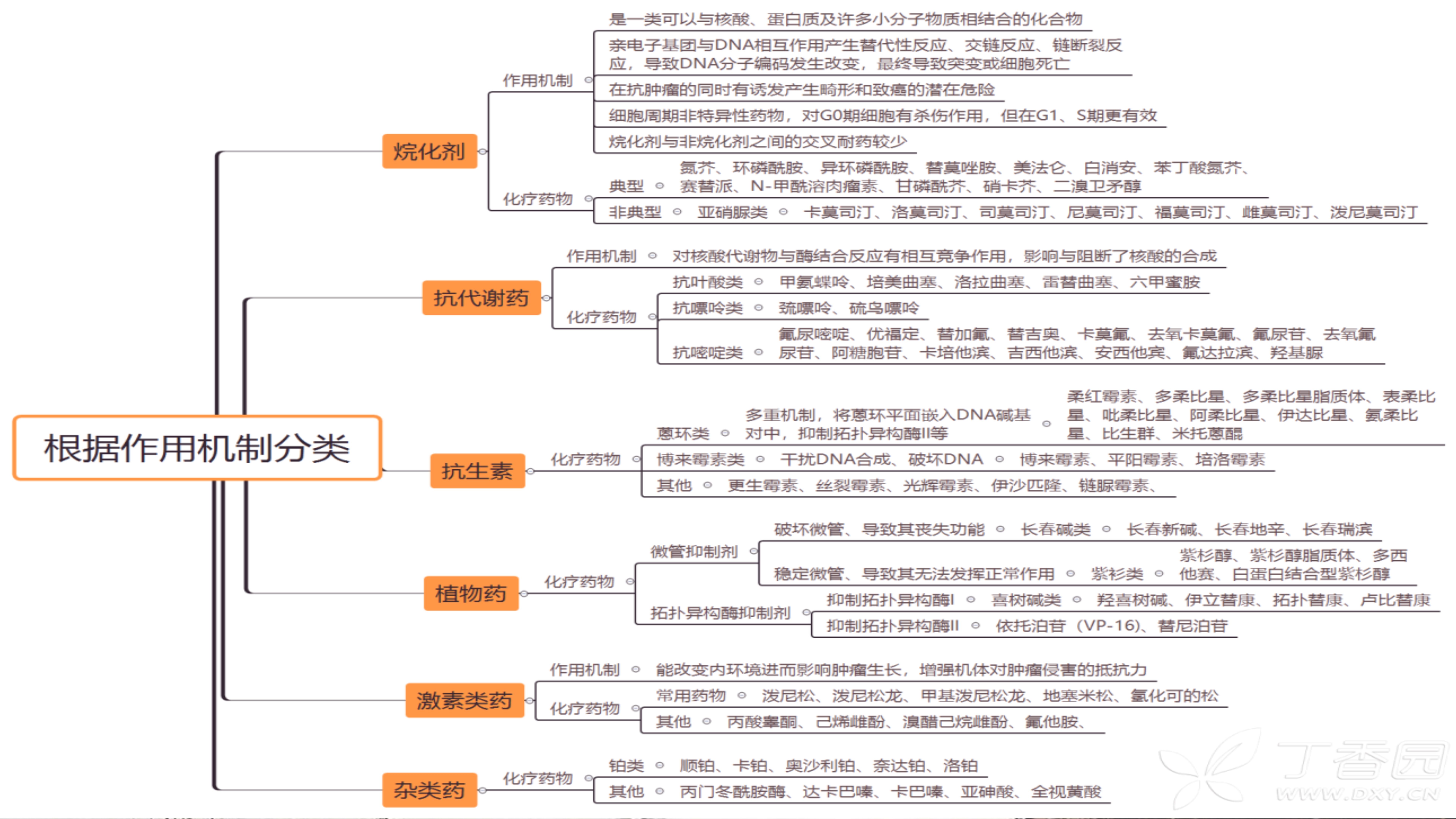 程培育讲座_6.jpg
