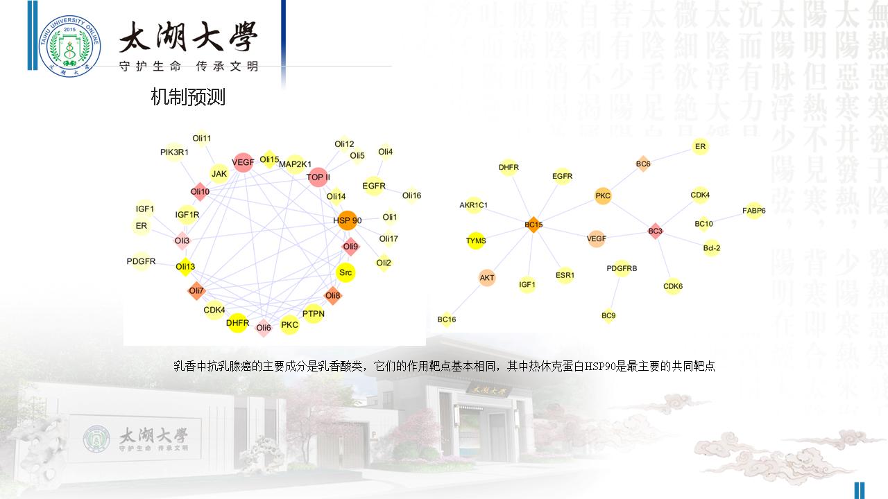 幻灯片101.JPG