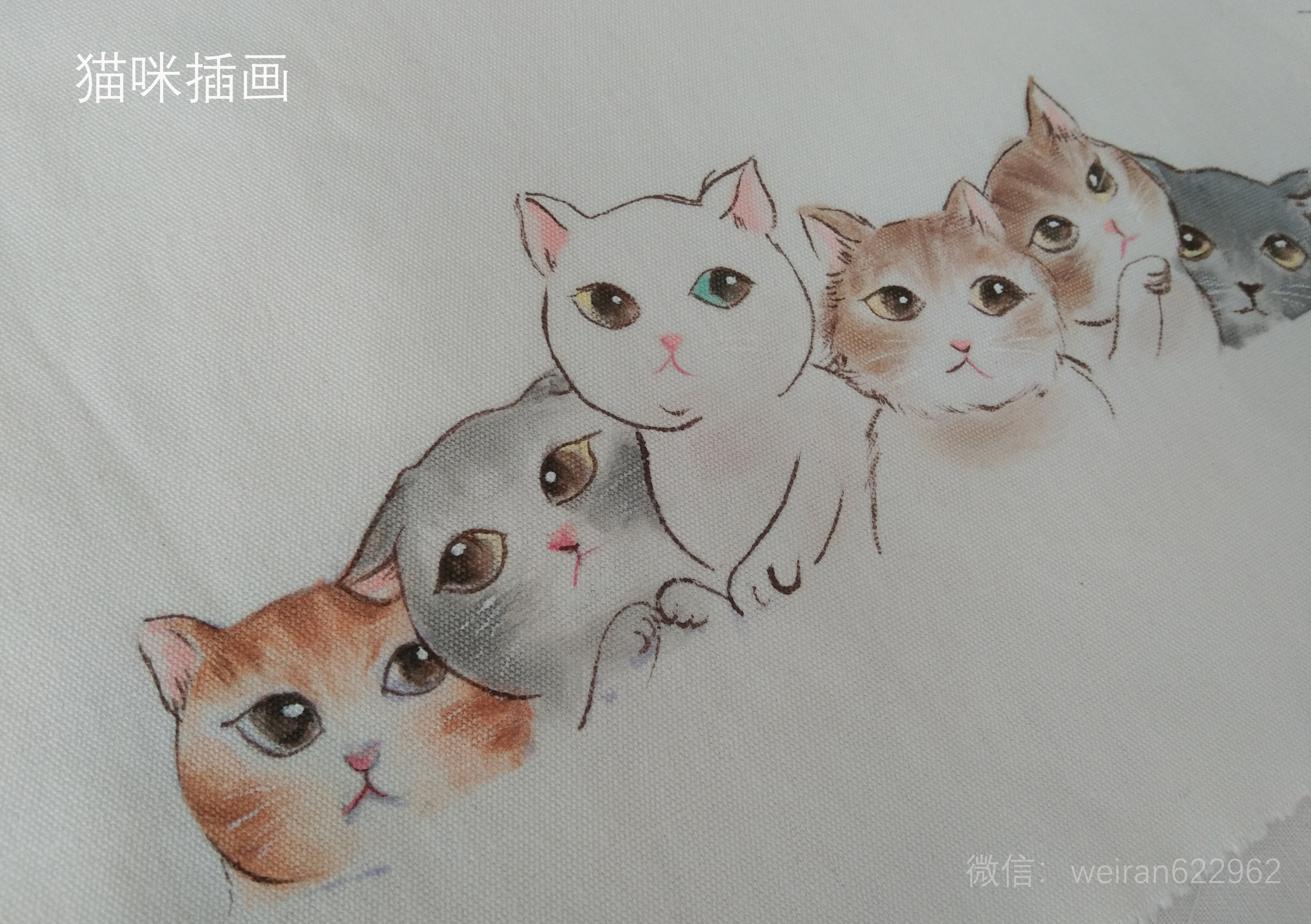 3-猫咪-1.jpg