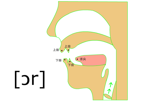 这个音的时候会发成澳州的"澳",/r/会发成澳洲的"澳"加儿化音"澳儿"