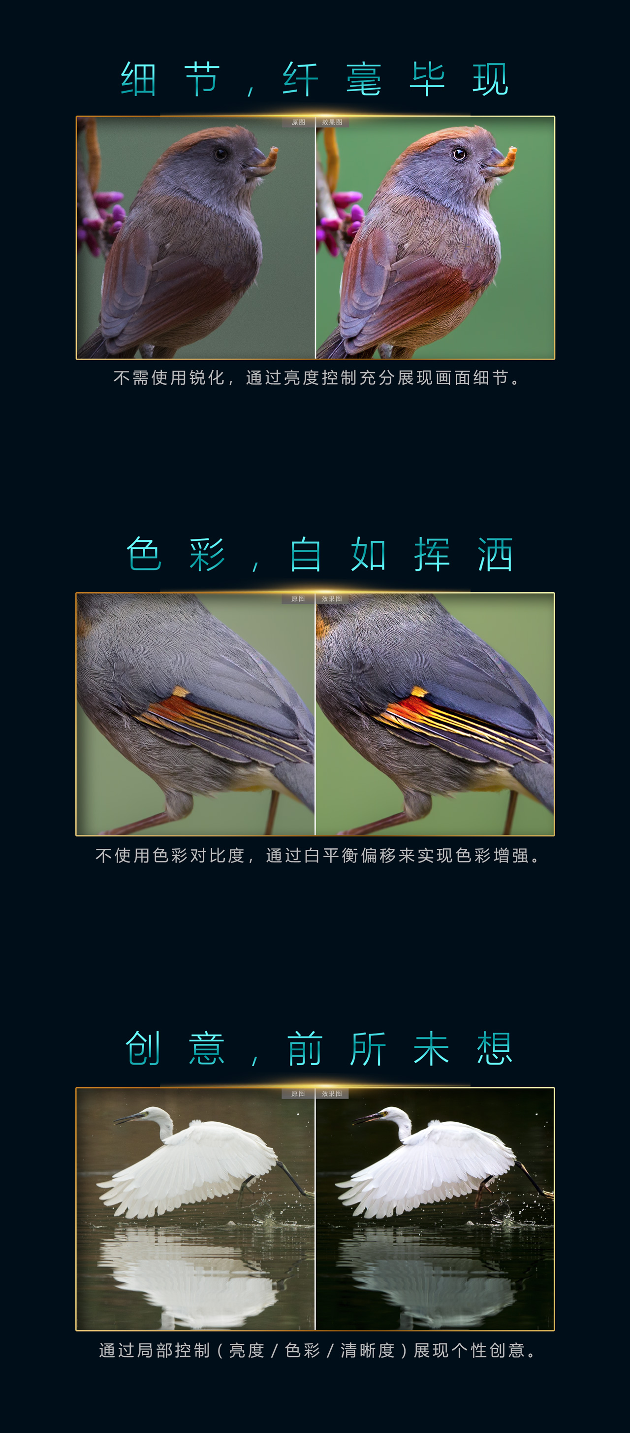 zero_bird_mobile01_02.jpg