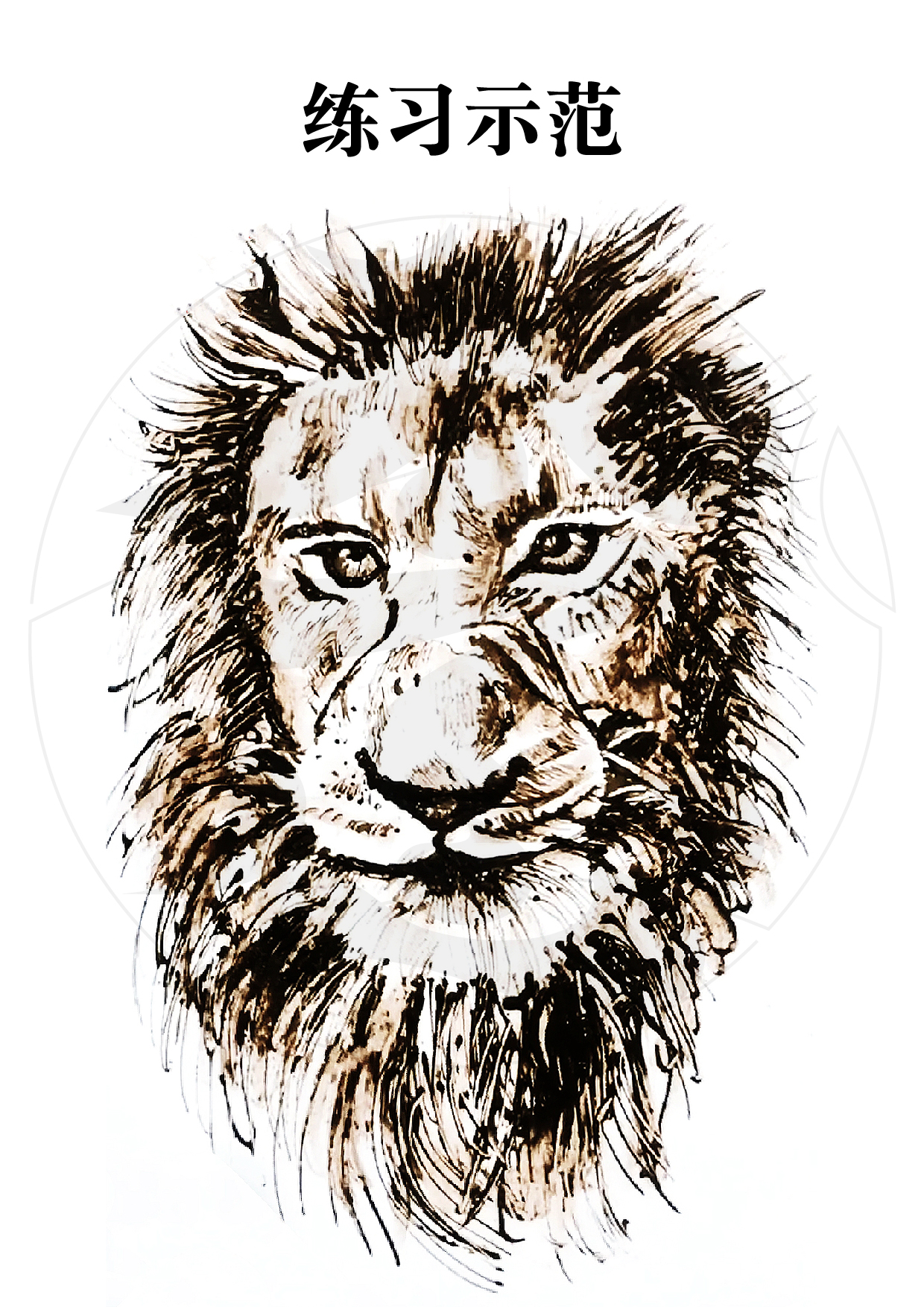 写实狮子的画法(二)