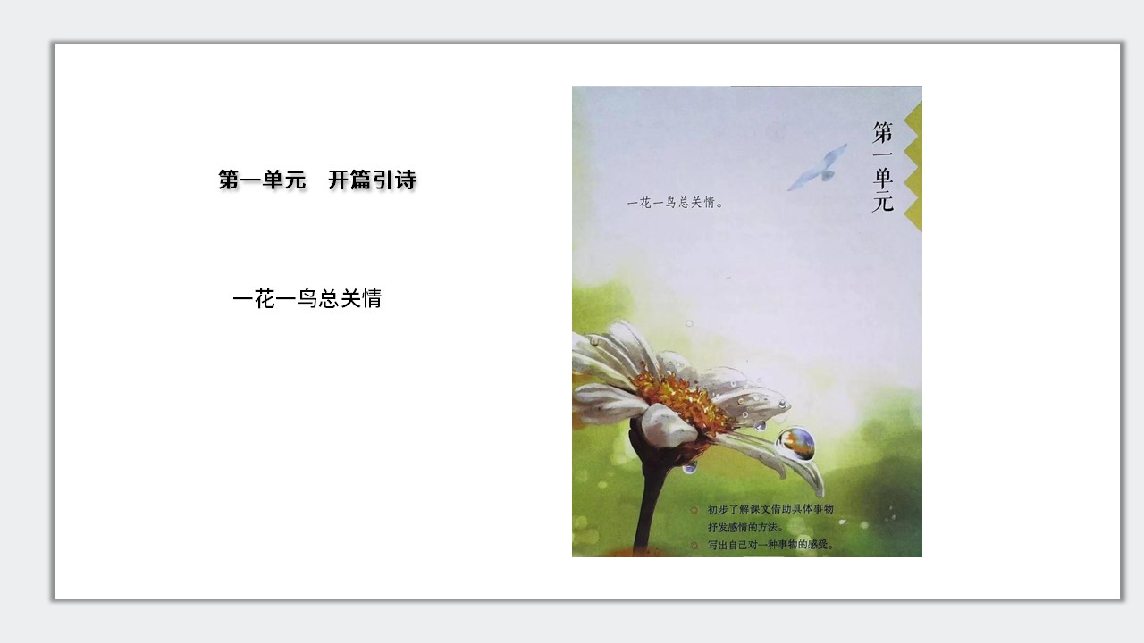 幻灯片2.JPG