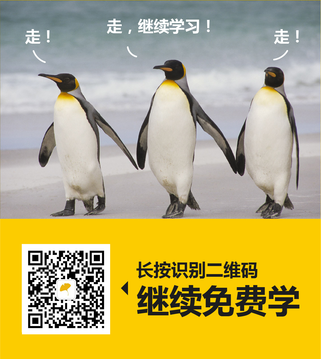 引导课二维码企鹅图.jpg