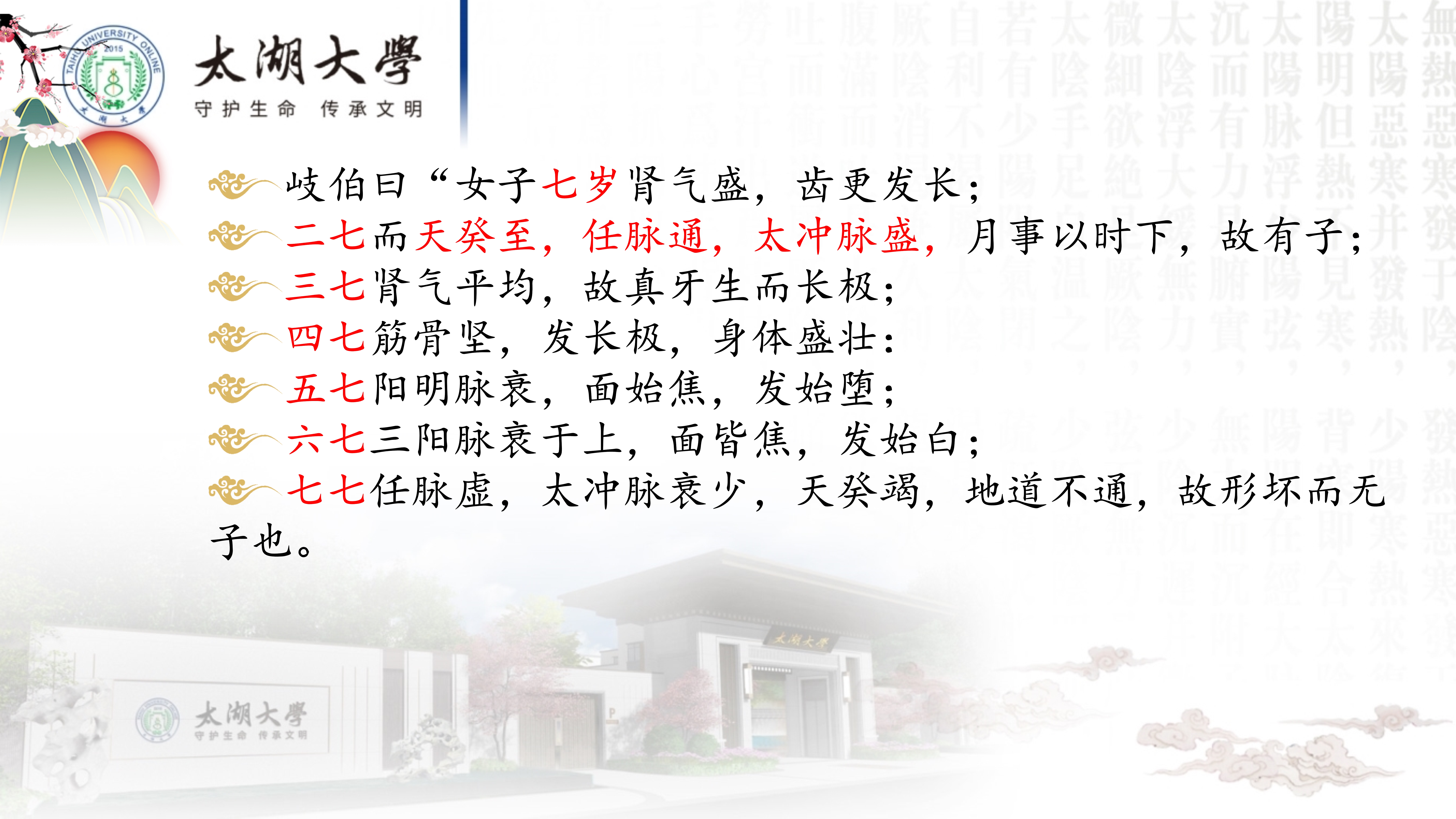 孙迎春讲座_9.jpg