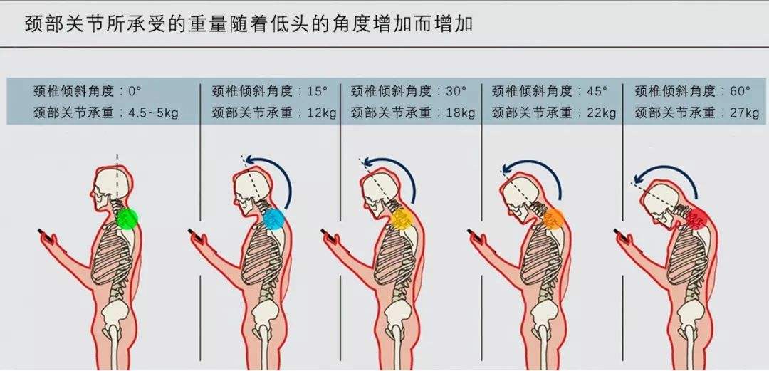 肩胛骨前引图片