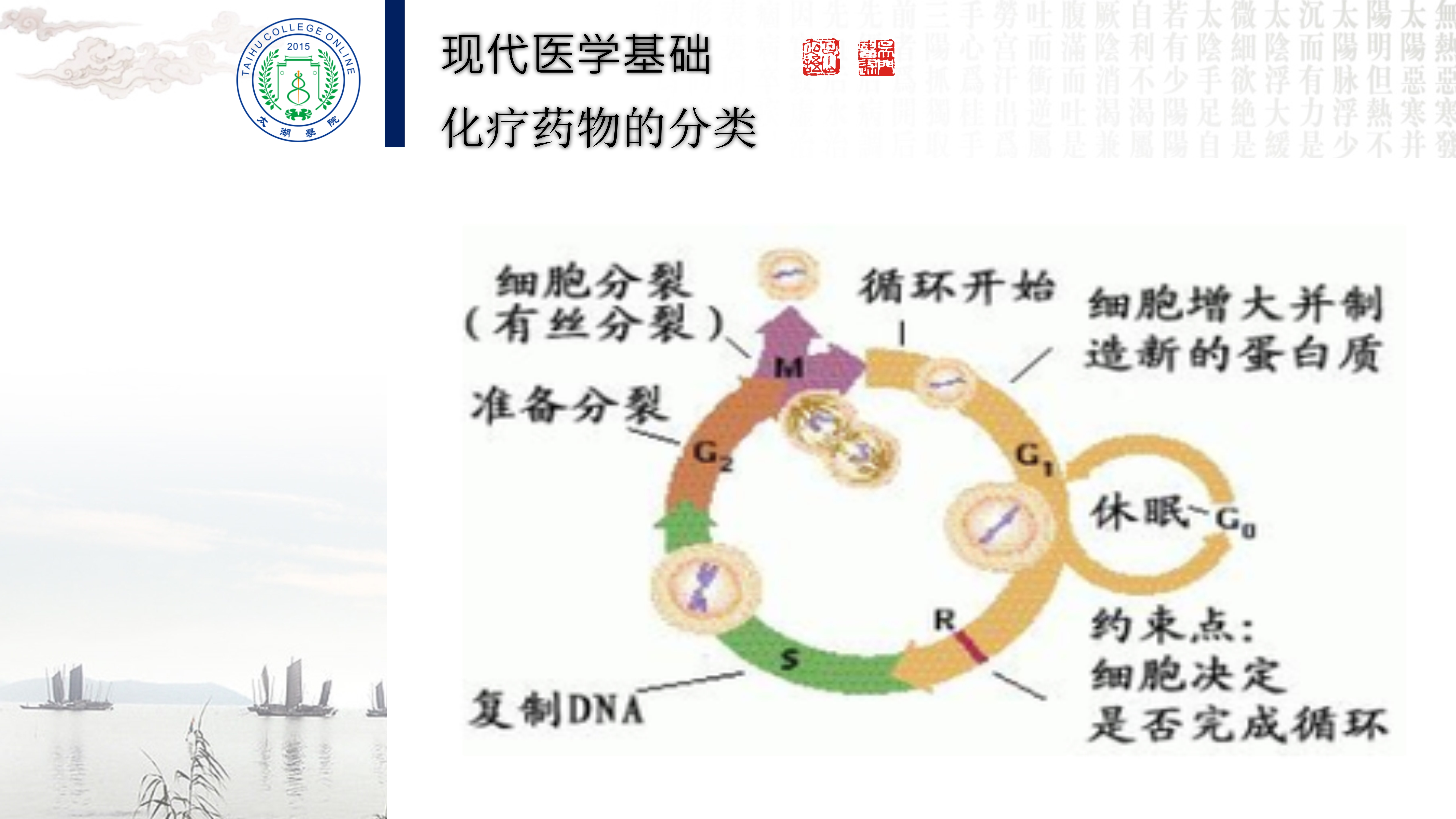 程培育讲座_5.jpg