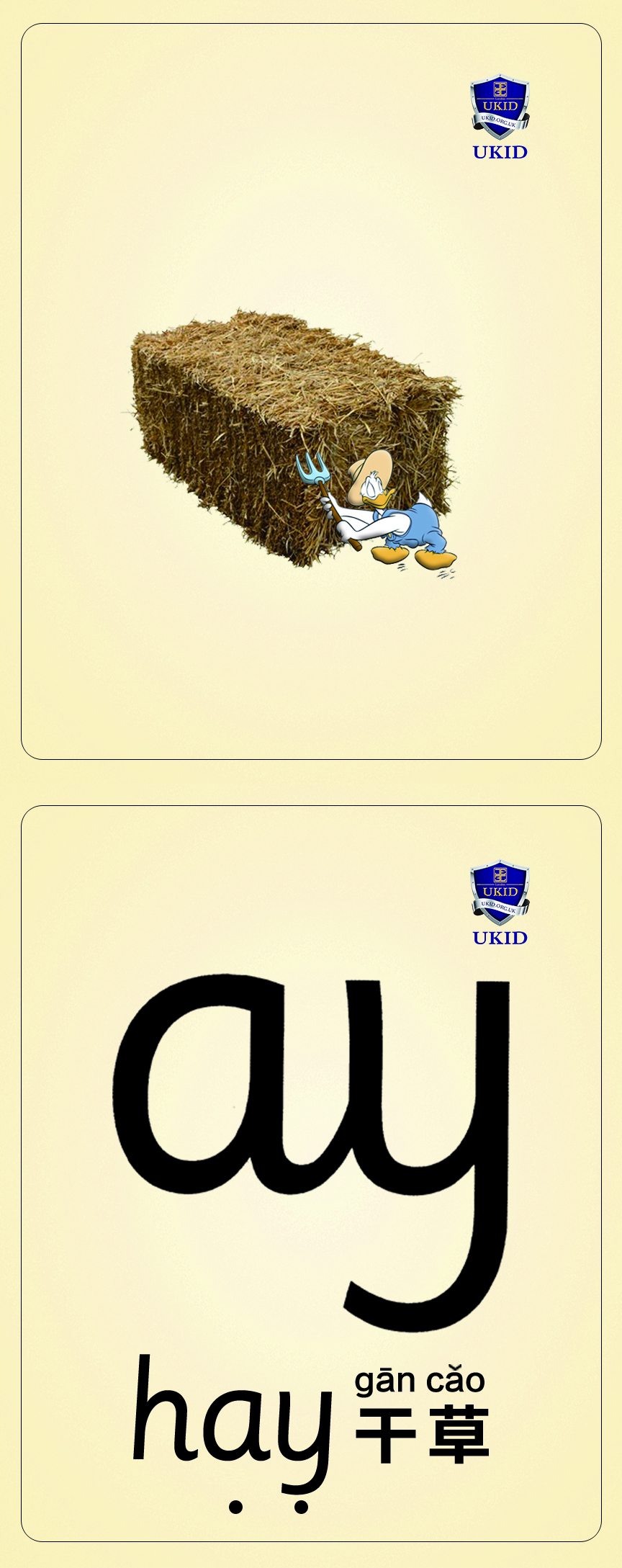 ay hay.1.jpg