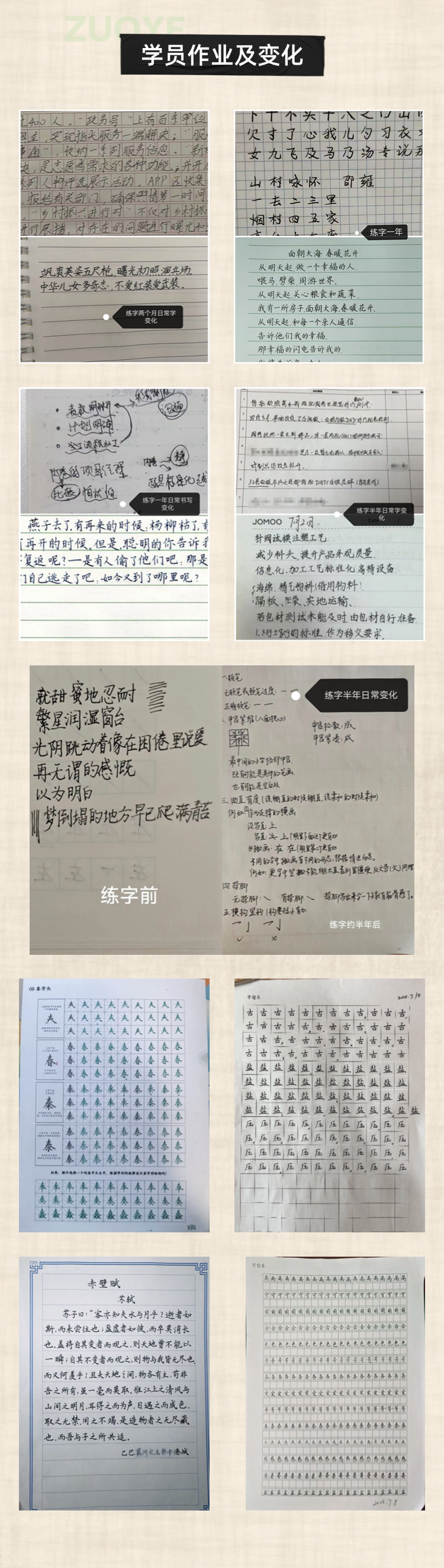 购买须知
